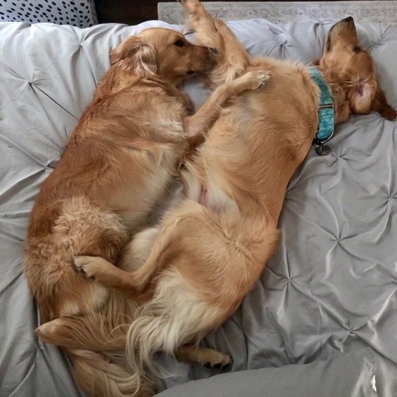 Smoke free/Pet friendly💛 - Picture 3 of 16